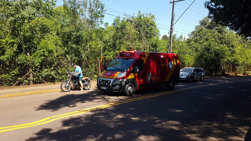 Para evitar atropelar macacos, condutor frea e é colidido por motocicleta