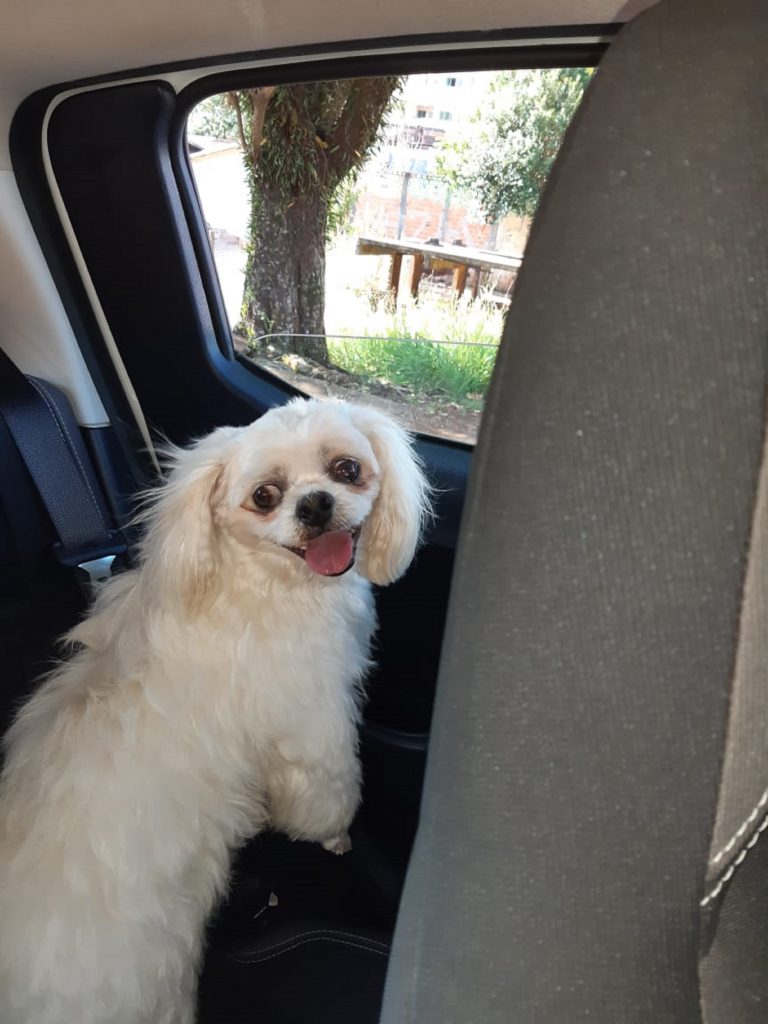 Thor está sendo procurado por internauta