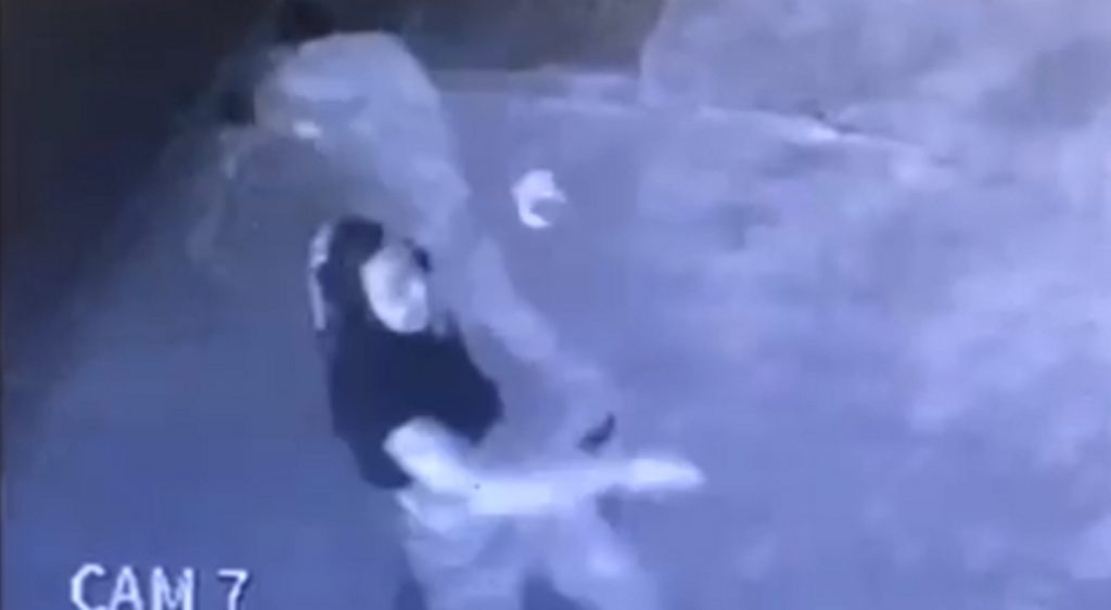Câmera flagra dupla apedrejando fachada de restaurante no Bairro Country