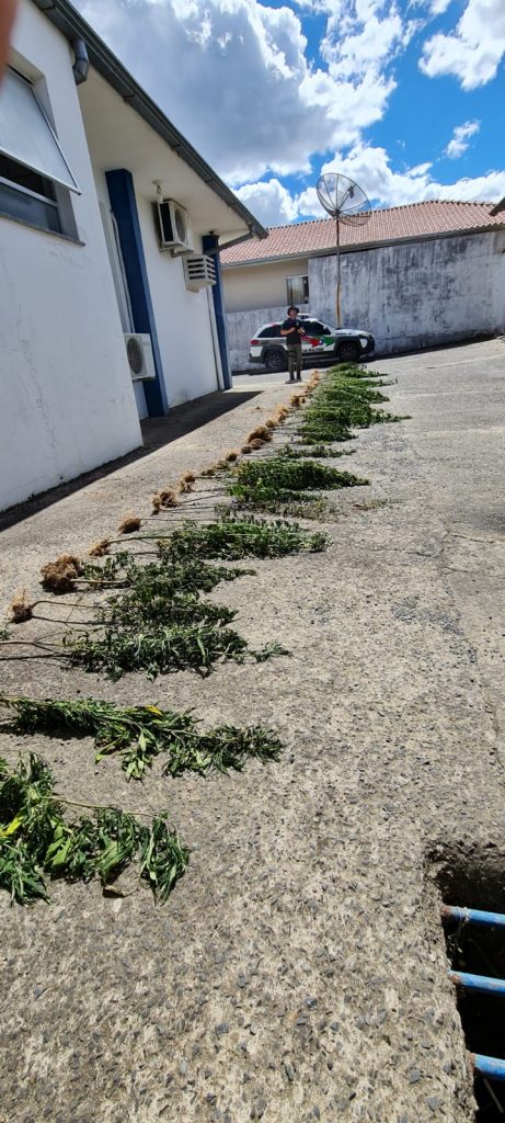 Polícia Civil realiza operação de combate ao tráfico em Itaiópolis