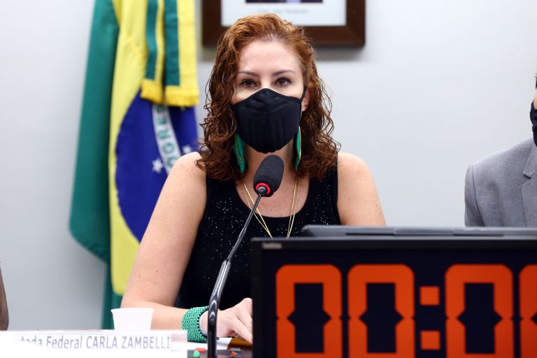 Comissão aprova apoio da União e estados para implantação de telhados verdes em municípios Imagem referente a Comissão aprova apoio da União e estados para implantação de telhados verdes em municípios
