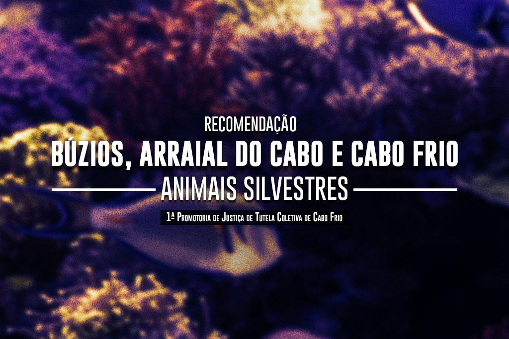 MPRJ e secretários de Meio Ambiente de Búzios, Arraial do Cabo e Cabo Frio analisam manejo de animais silvestres por meio de parcerias com entidades privadas