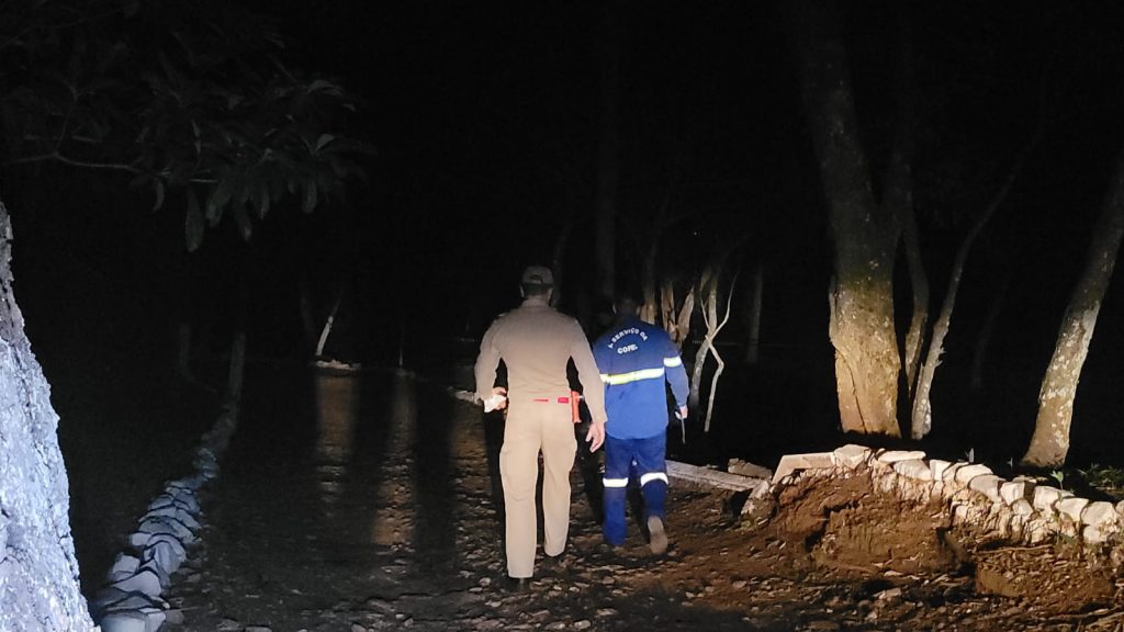 Galho de árvore cai sobre fiação e gera curto circuito seguido de incêndio no XIV de Novembro