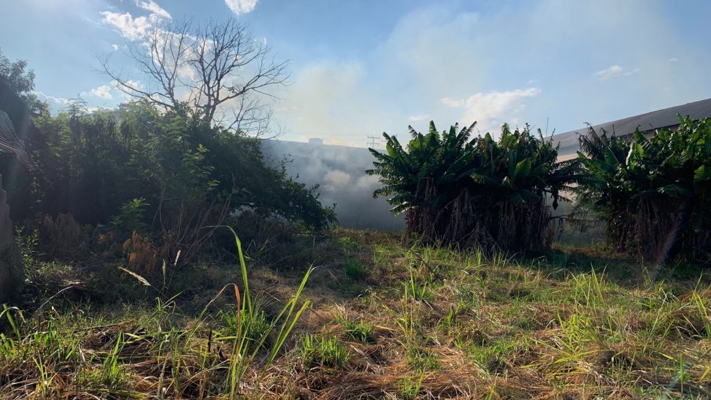 Incêndio em vegetação chama atenção de motoristas que transitam pela BR-277
