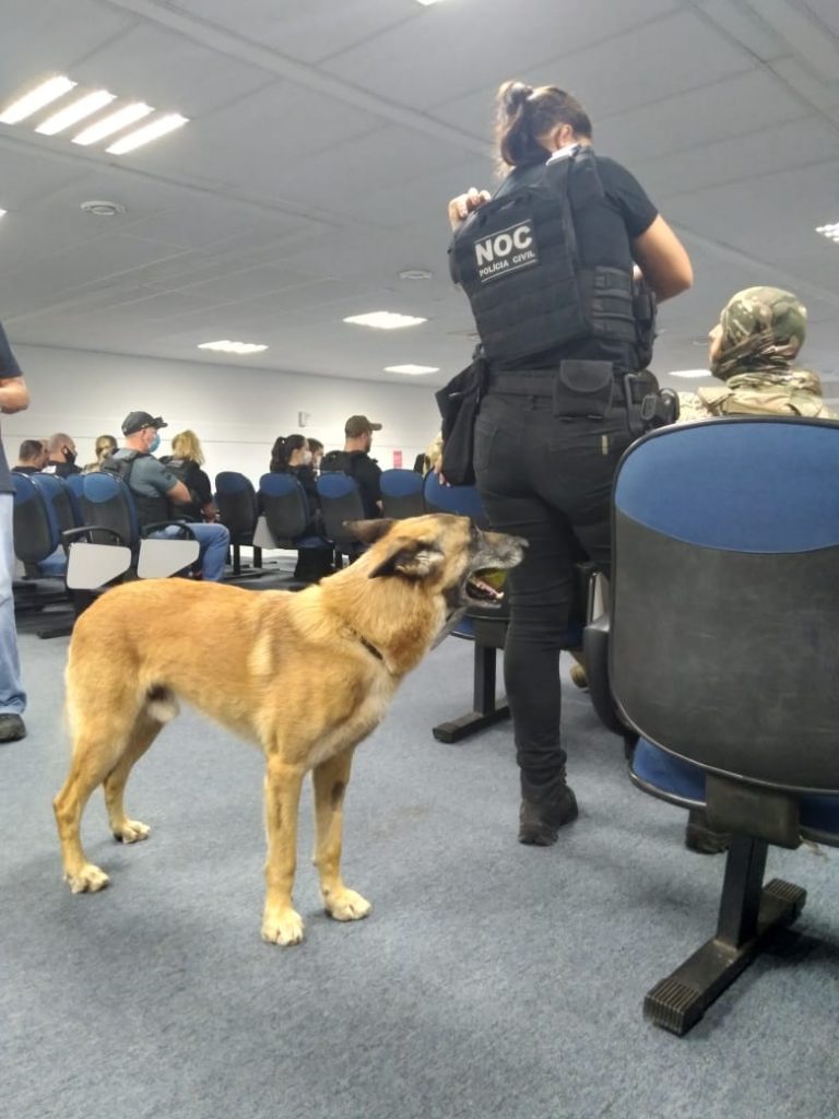 Polícia Civil desencadeia a operação “Redenção” em combate a crimes praticados por organização criminosa em São José