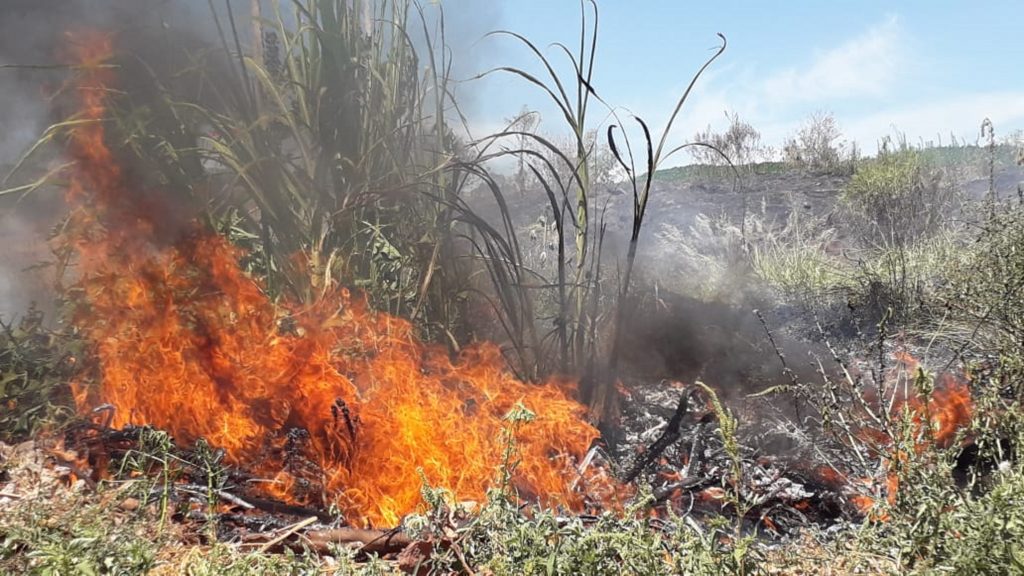Incêndio ambiental incomoda moradores no Bairro Interlagos Incêndio ambiental incomoda moradores no Bairro Interlagos
