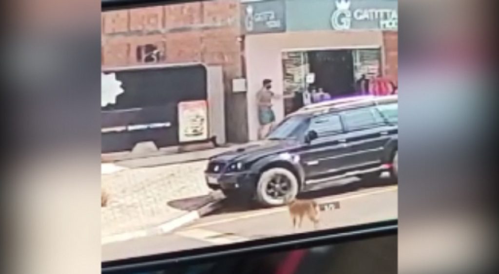 Imagens flagram homem realizando furto em loja no Jardim Veneza Imagens flagram homem realizando furto em loja no Jardim Veneza