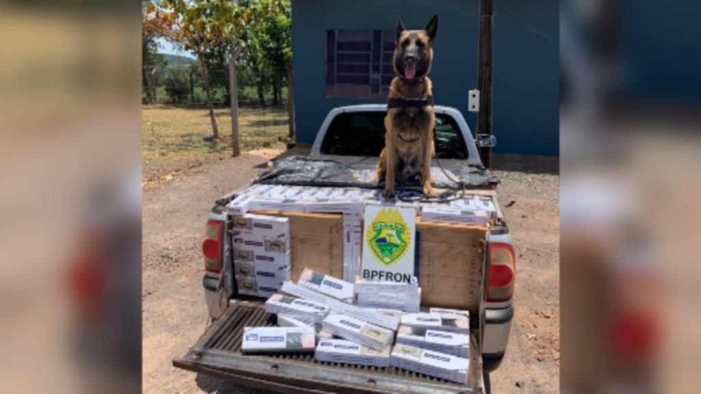 BPFron apreende carro carregado com cigarros contrabandeados em Nova Santa Rosa