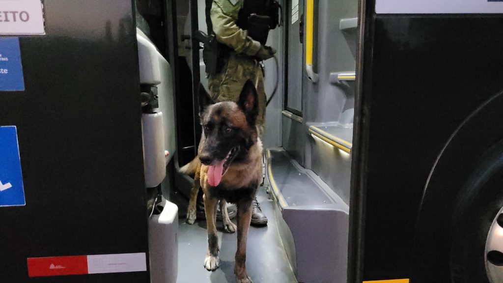 Cães Atena e Guerreiro em ação: BPFron faz fiscalizações a ônibus na BR-277 em Cascavel