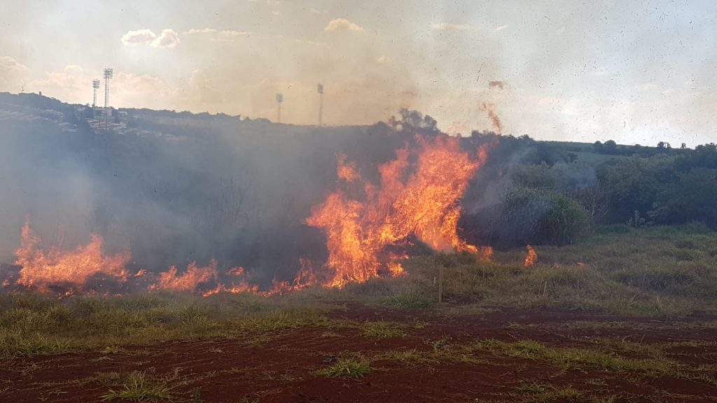 Bombeiros combatem incêndio em vegetação na Região Norte