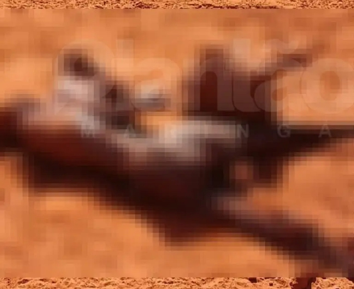 Homem encontra cadáver em avançado estado de decomposição perto da rodovia PR-317 Imagem referente a Homem encontra cadáver em avançado estado de decomposição perto da rodovia PR-317