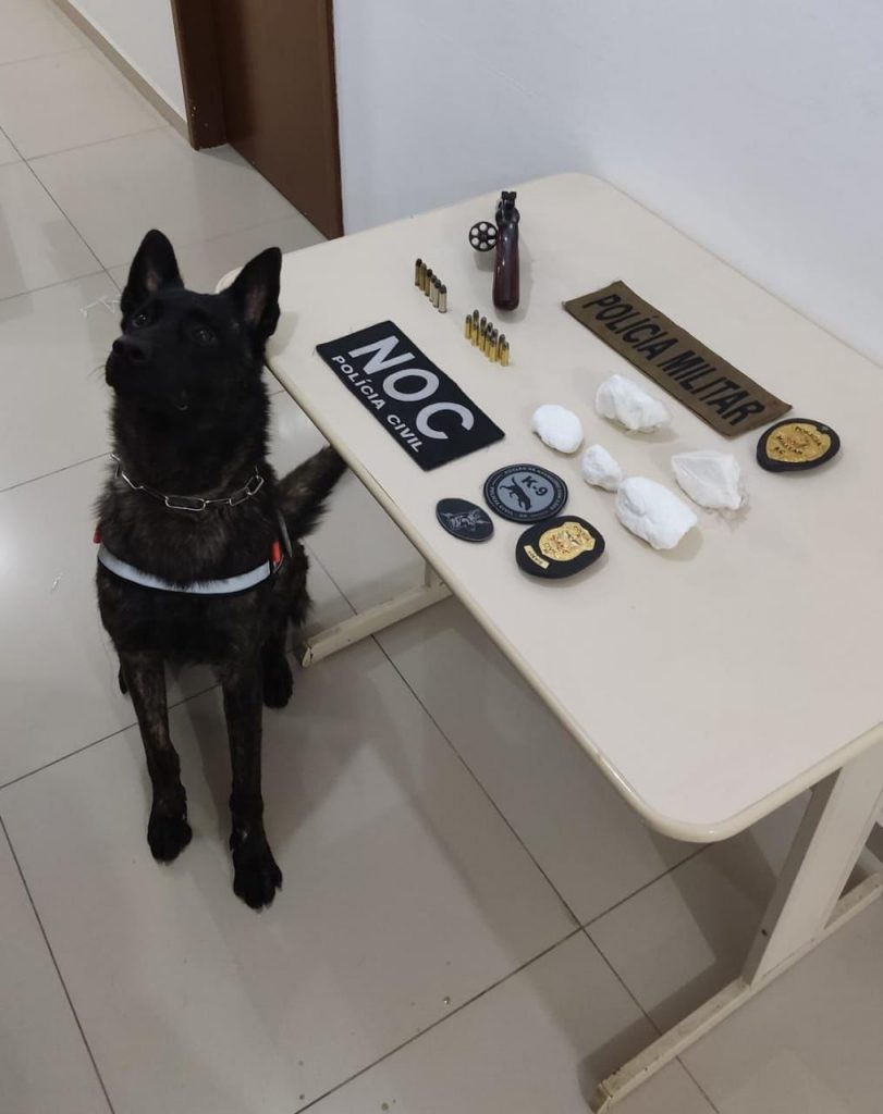 Ação conjunta faz prisões e apreende cocaína e arma em Barra Velha