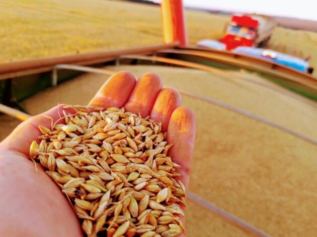Entre os 100 municípios mais ricos do país na produção do agronegócio, Cascavel aparece na 58ª posição