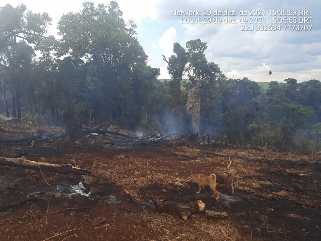 Aumento de umidade na região colabora no combate às chamas em área ambiental em Quedas do Iguaçu