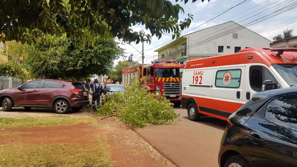 Ao realizar poda em árvore, mulher fica presa em galhos e Corpo de Bombeiros mobilizado