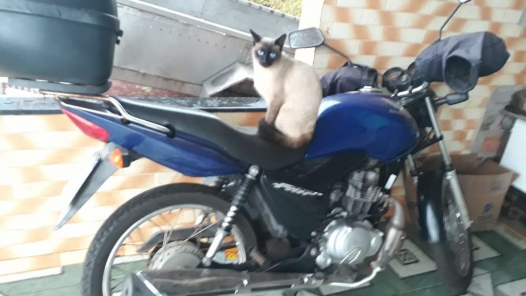 Moto CG placa ARU 8E14 foi furtada no Sanga Funda Moto CG placa ARU 8E14 foi furtada no Sanga Funda