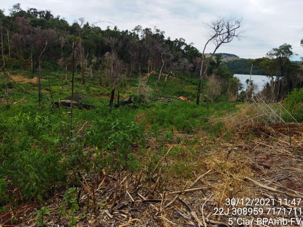 Corpo de Bombeiros realiza monitoramento de 50 focos de incêndio em área ambiental em Quedas do Iguaçu