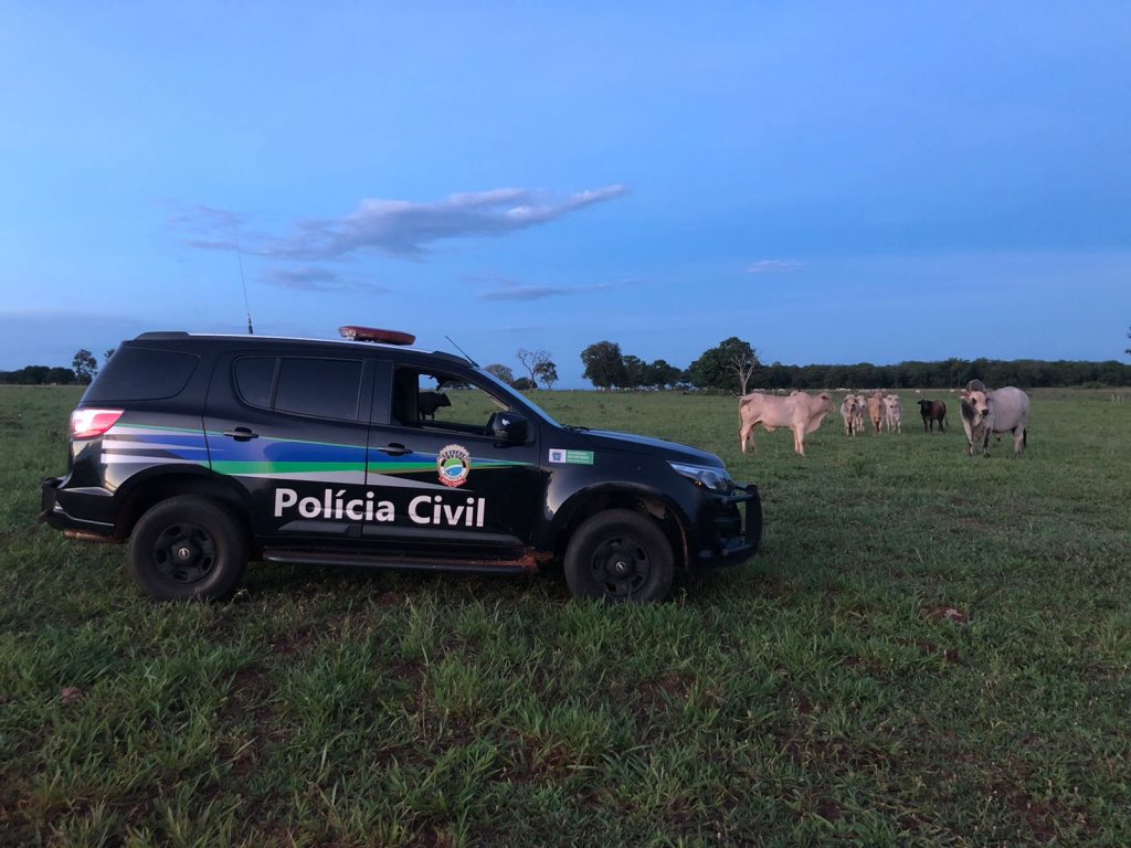 Polícia Civil desarticula quadrilha que furtava gados no Estado e prende em flagrante quatro suspeitos