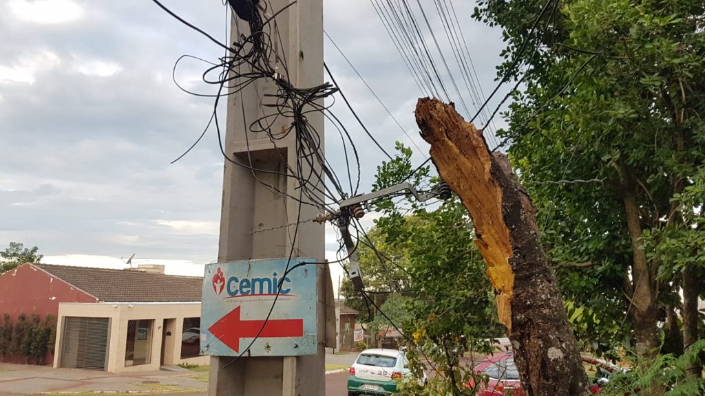 Galhos de árvore caem sobre fiação da rede elétrica e mobiliza Bombeiros e Copel; moradora falou sobre a situação