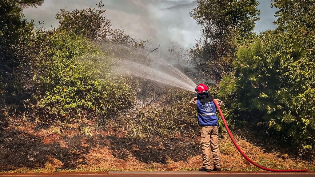 Incêndio em vegetação levanta uma grande nuvem de fumaça nas margens da PR-486