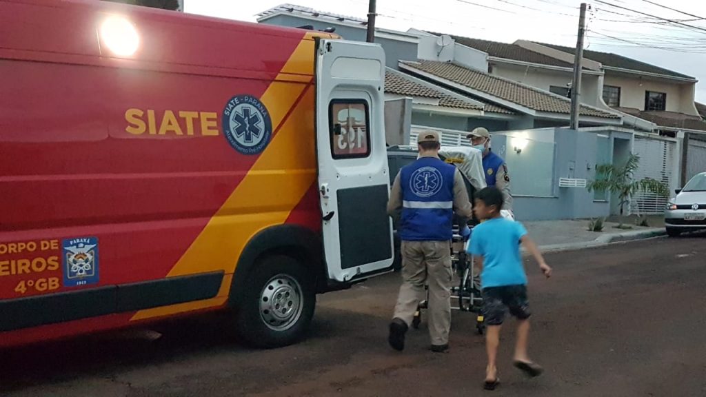 Criança de 8 anos fica ferida ao cair de pé de manga no Parque Verde