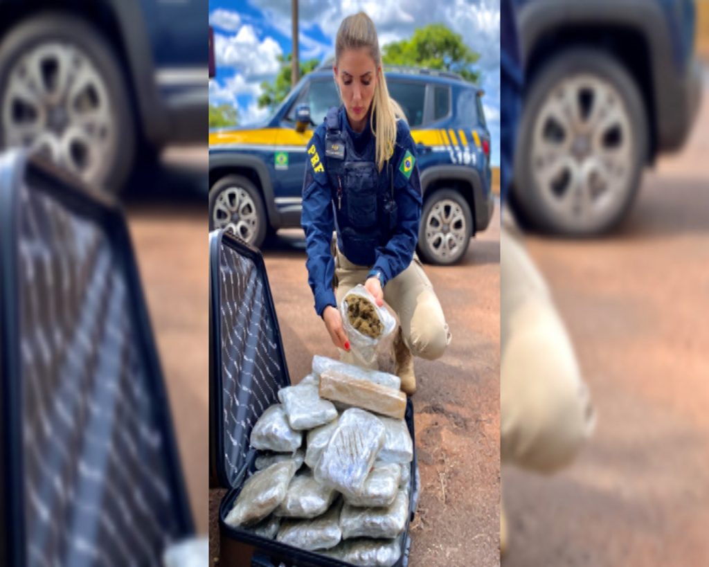 Supermaconha: PRF apreende Skunk em Céu Azul