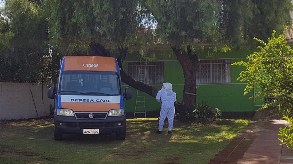 Defesa Civil faz retirada de abelhas em residência no Bairro Coqueiral
