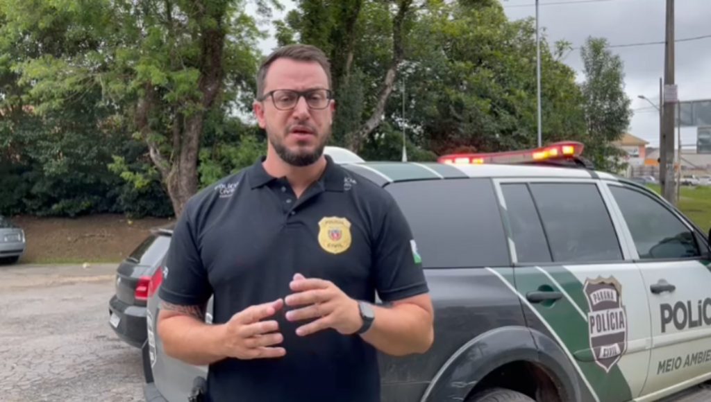 Delegado de Proteção ao Meio Ambiente fala sobre pena possível a médico suspeito de matar cachorro