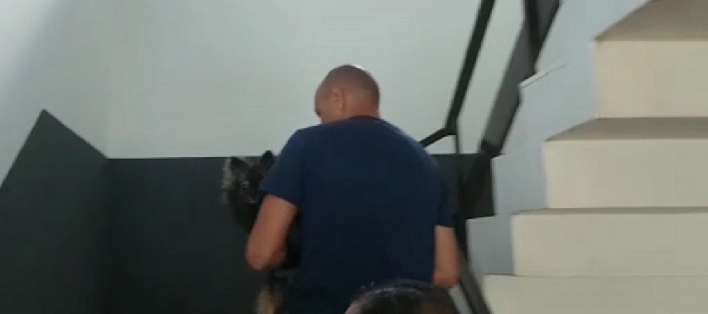 Justiça determina busca e apreensão do outro cão do médico