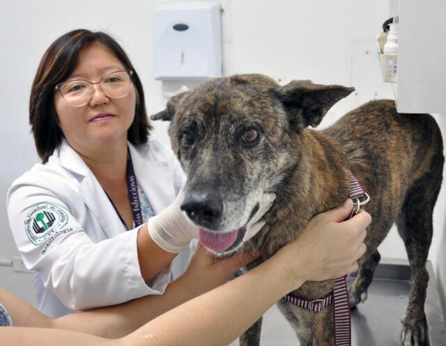 Hospitais veterinários de universidades recebem 22 recomendações do TCE-PR