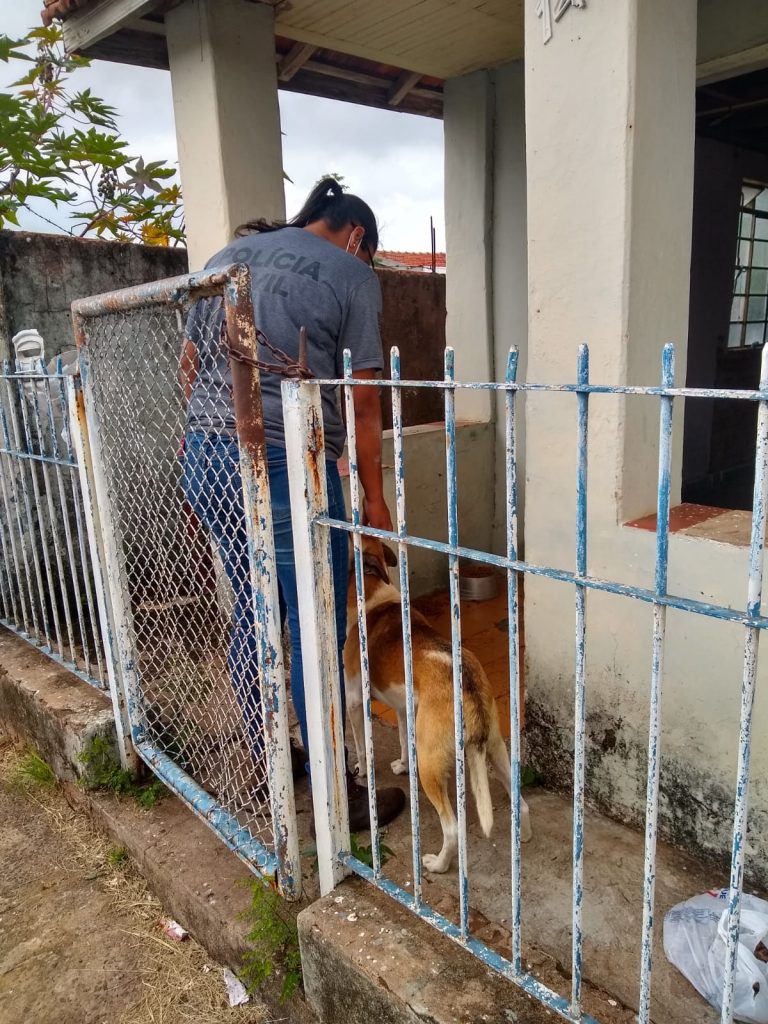 Cão deixado sozinho em residência é resgatado pela Polícia Civil de Avaré