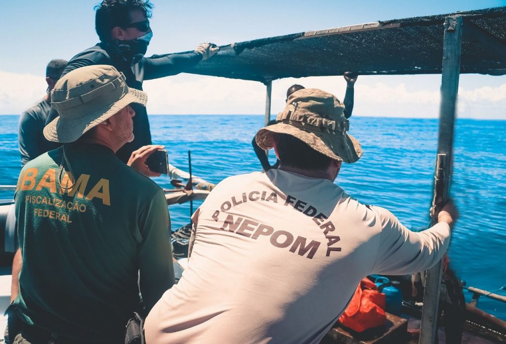 Polícia Federal e Ibama realizam operação no litoral norte de Pernambuco para combater a pesca ilegal da lagosta em período de defeso