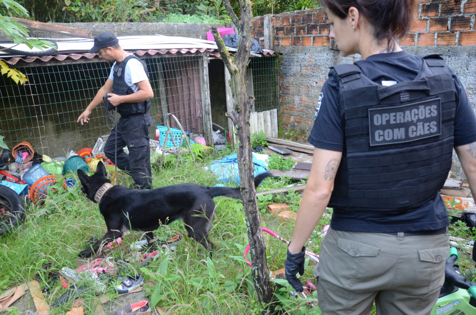 Ações dos cães policiais da PCPR resultam na apreensão de 7,8 toneladas de drogas em 2021