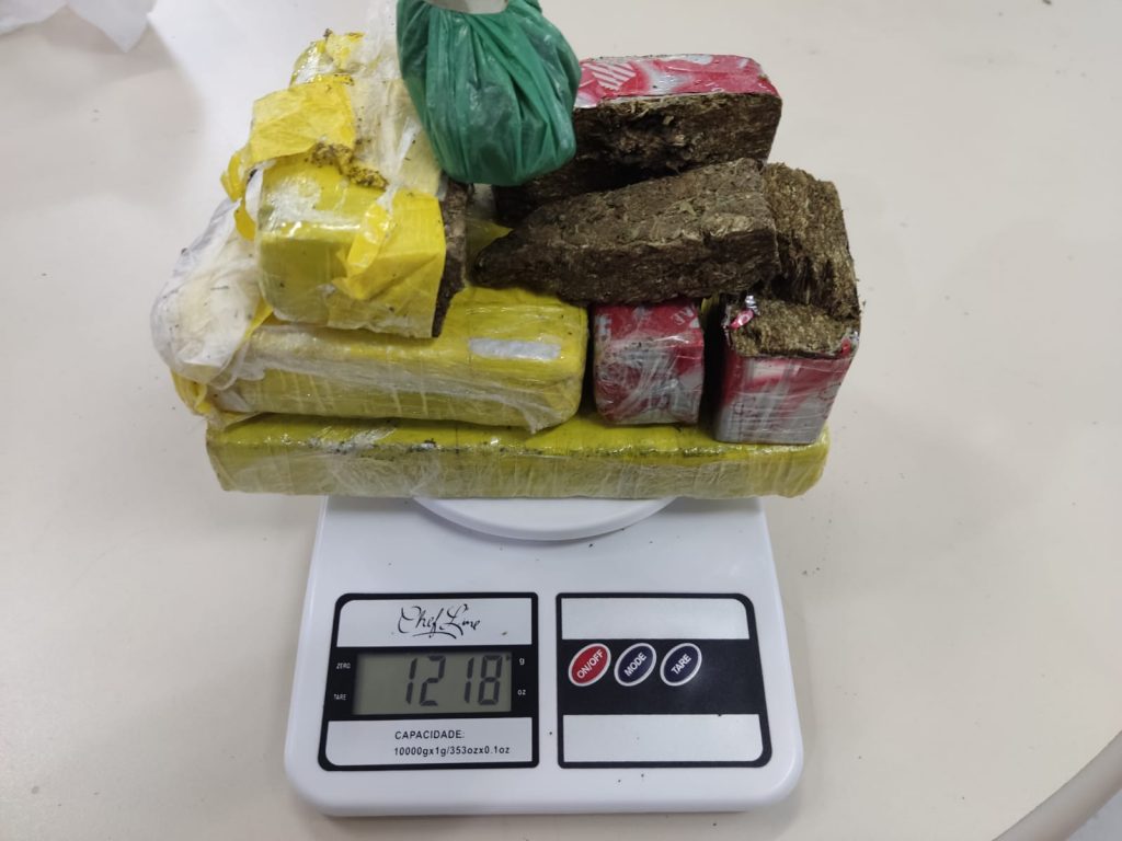 Com auxílio dos cães, Polícia Civil apreende droga no Morro da Macumba em Florianópolis