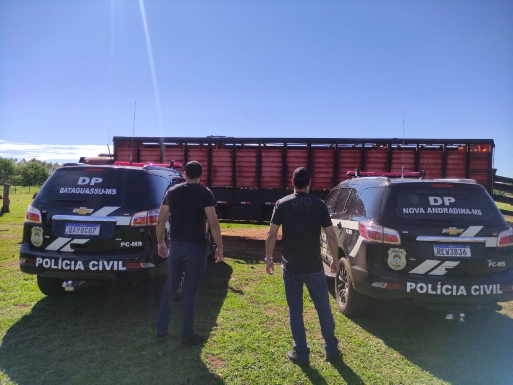Policiais civis identificam suspeitos de furto de gado e recuperam animais levados