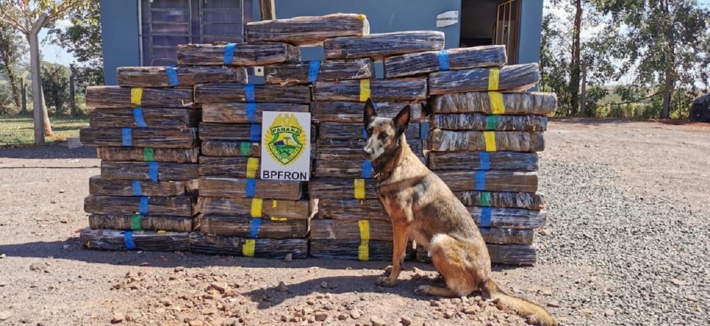 BPFron apreende drogas em Santa Helena