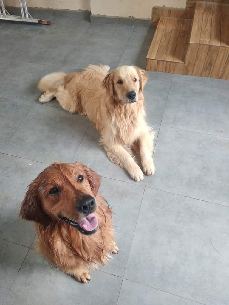 Fred e Theo sumiram no Centro