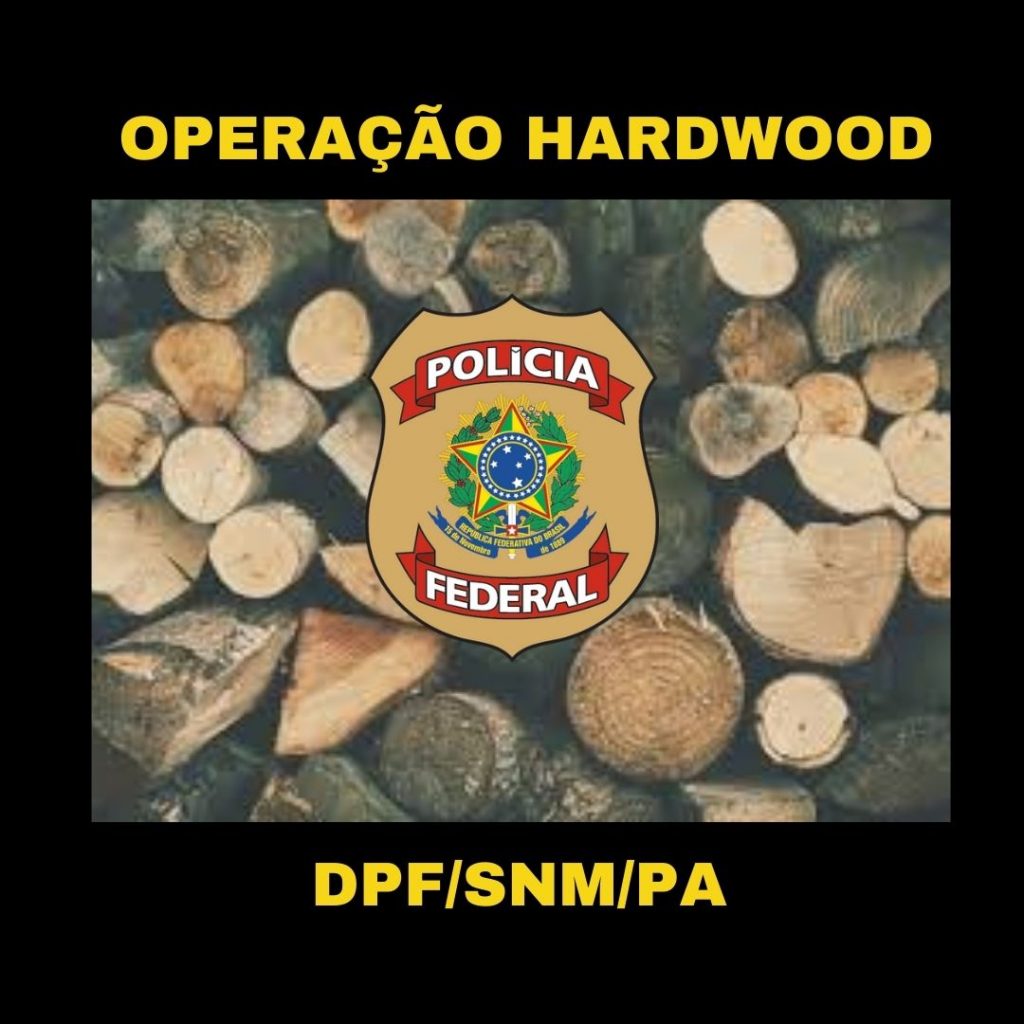 Polícia Federal deflagra a operação HARDWOOD de combate ao desmatamento