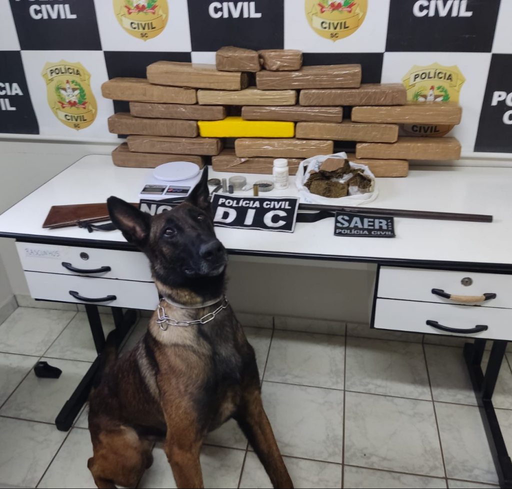 Polícia Civil apreende carga de droga e faz prisão em Chapecó
