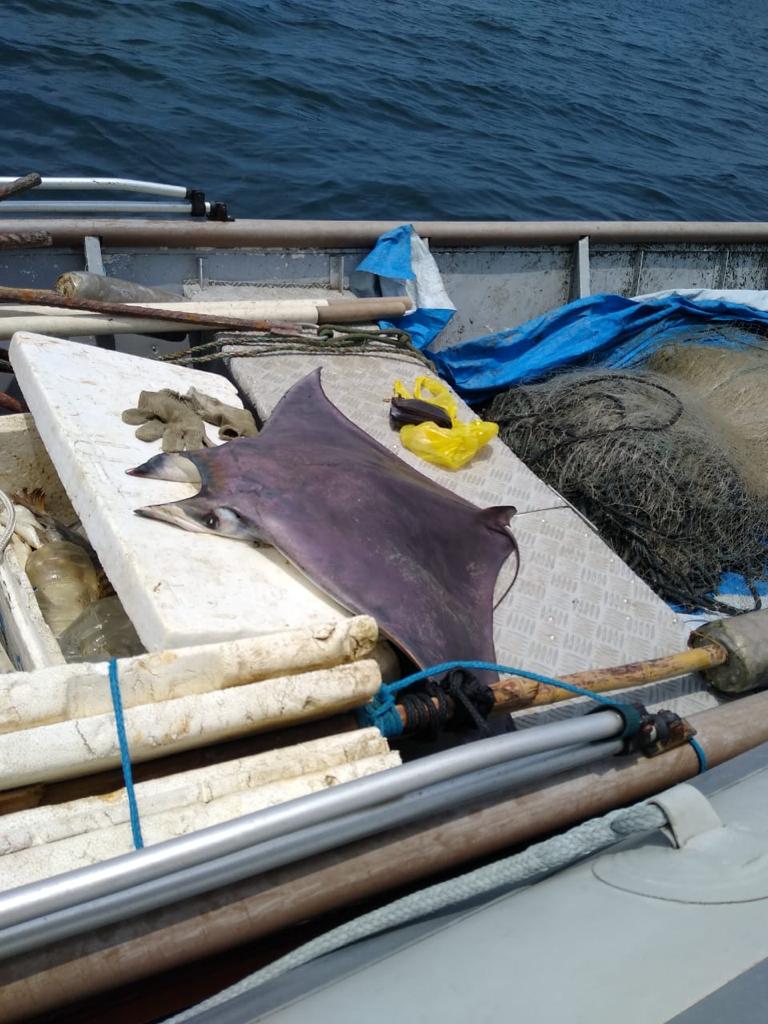 PM Ambiental flagra pescas irregulares no litoral paulista