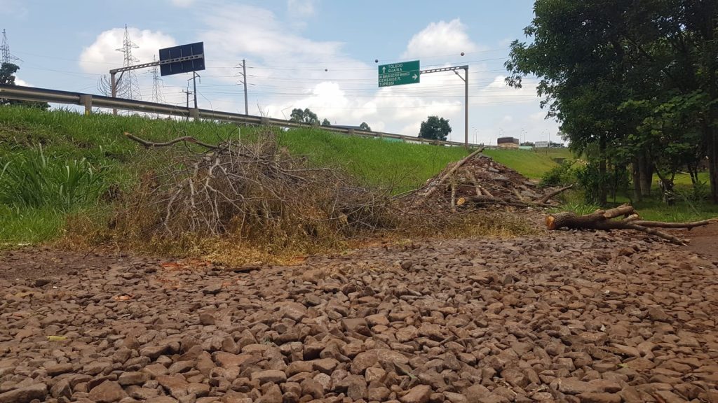 Marginal da BR-467 é trancada com galhos de árvores e entulhos e moradores pedem providência