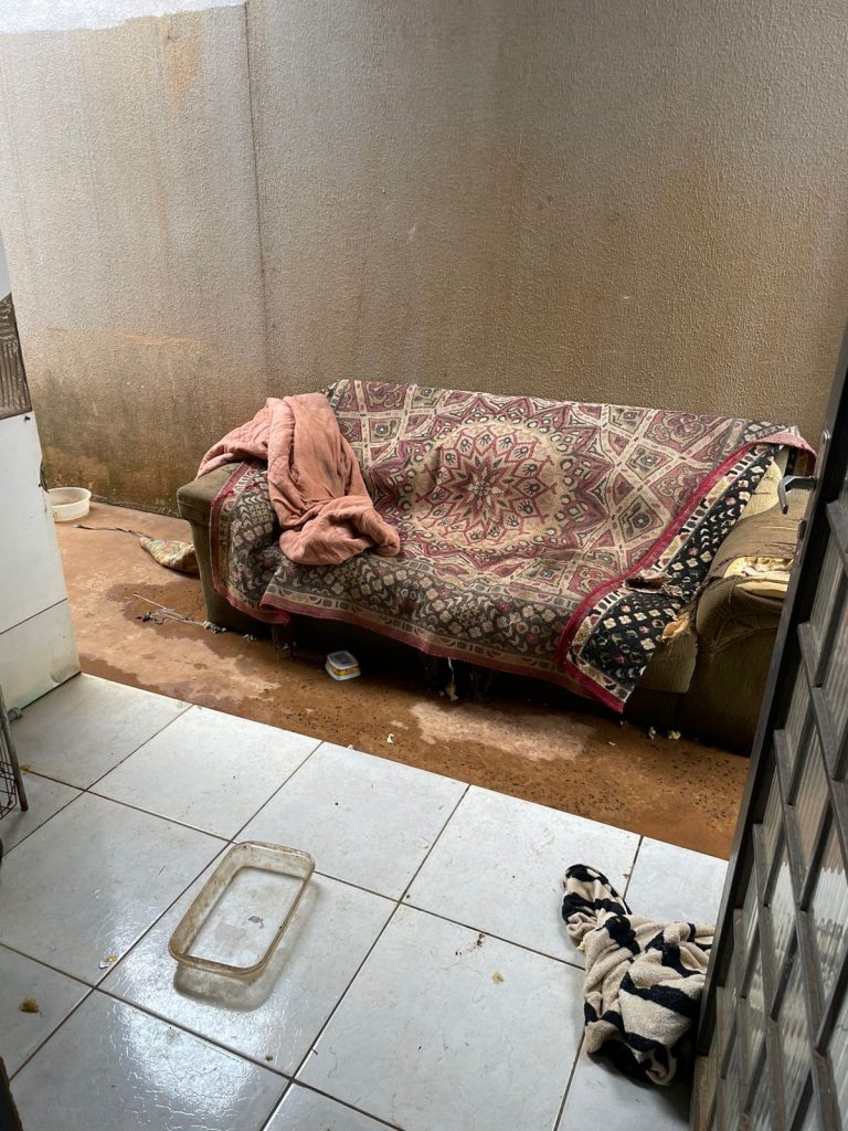 Polícia Civil prende mulher por abandonar filhas em casa e que furtava energia e água