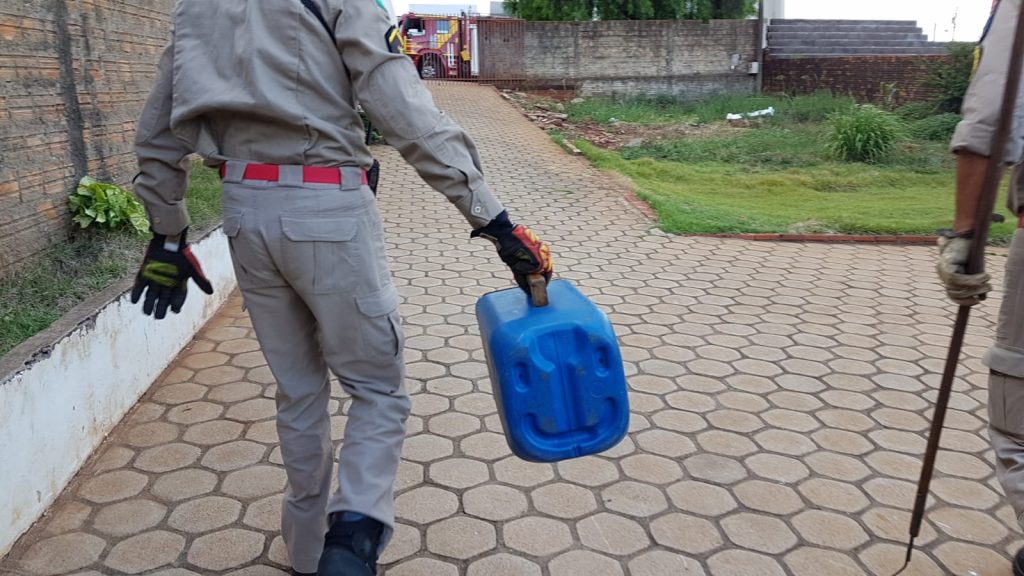 Corpo de Bombeiros realiza captura e remoção de cobra encontrada em residência