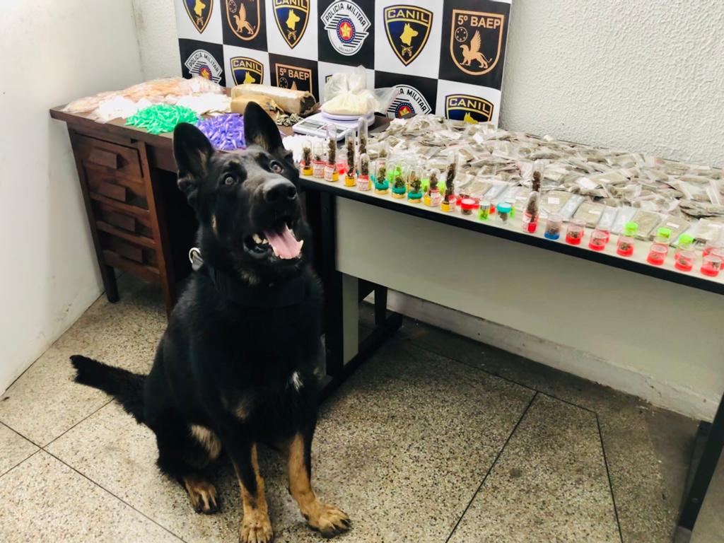 Mais de 1,7 mil porções de drogas são apreendidas em Carapicuíba