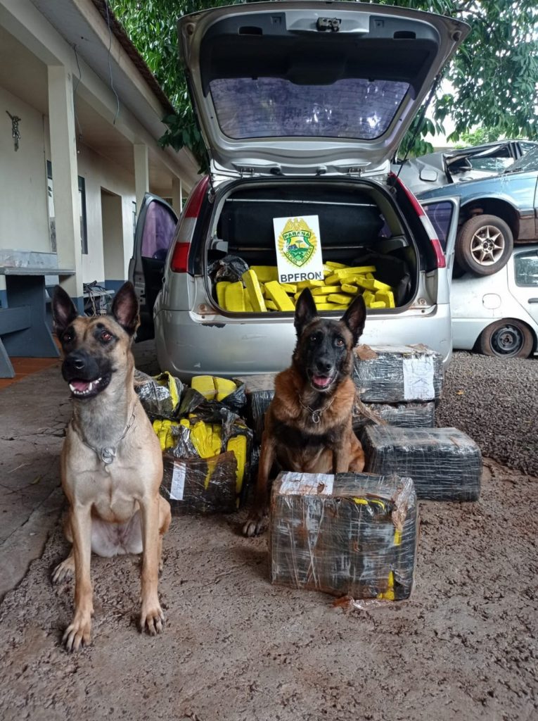 Vídeo: BPFron apreende veículo carregado maconha em Santa Helena