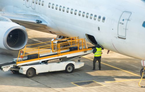 Indeferida tutela de urgência para que a ANAC regulamente imediatamente o transporte aéreo de animais de estimação
