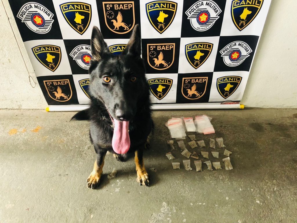 Quase 20 porções de drogas são apreendidas em barraco abandonado na Grande SP