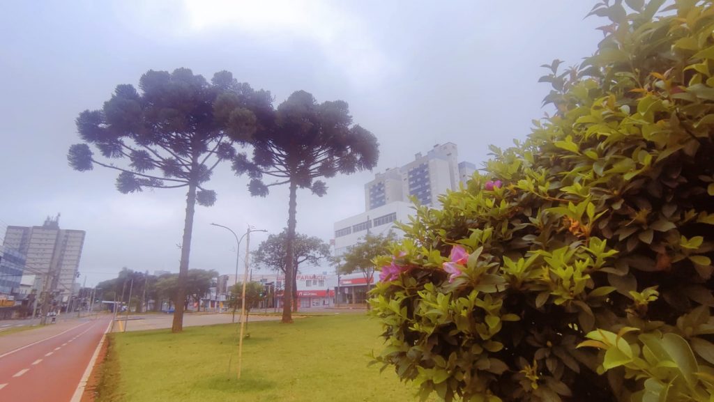 Previsão do tempo aponta 29º de temperatura máxima e sem a possibilidade de chuva para hoje (06) em Cascavel
