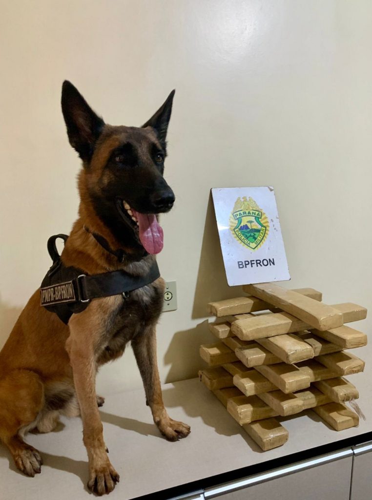 BPFron e 14ºBPM apreendem droga em Itaipulândia