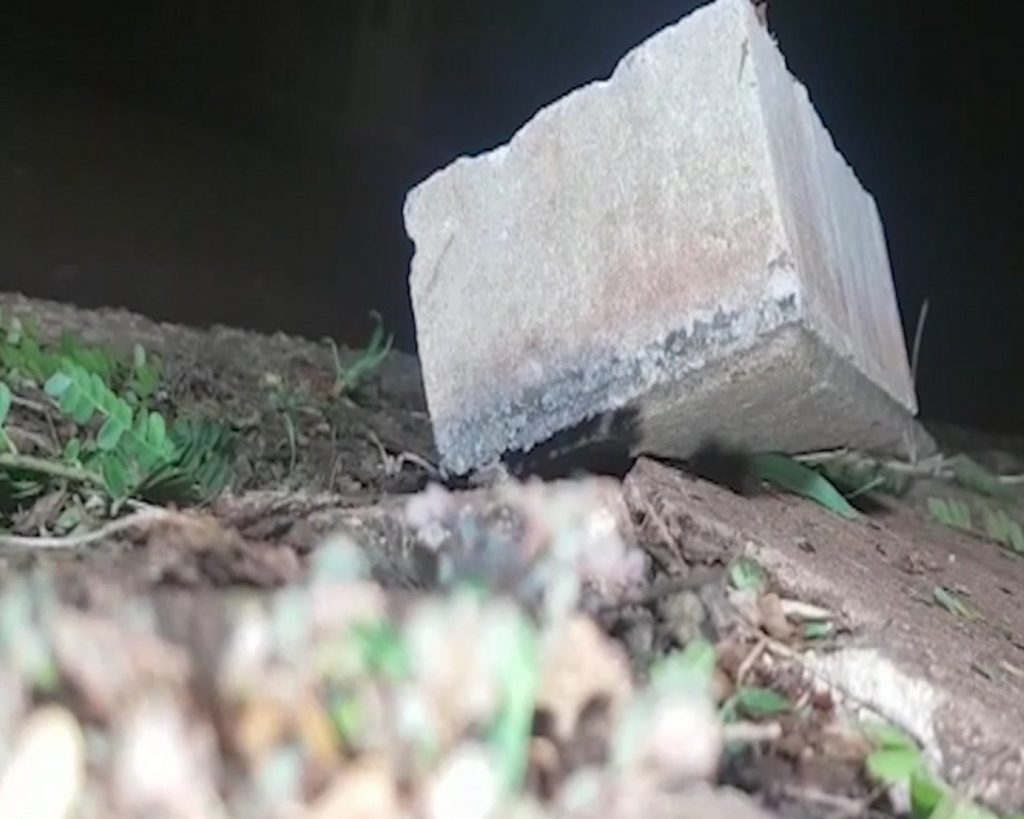 Homem morto a tijolada no Bairro Cascavel Velho pode ter sido vítima de latrocínio
